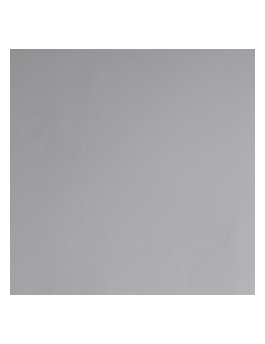 E3877B - Argent Brillant